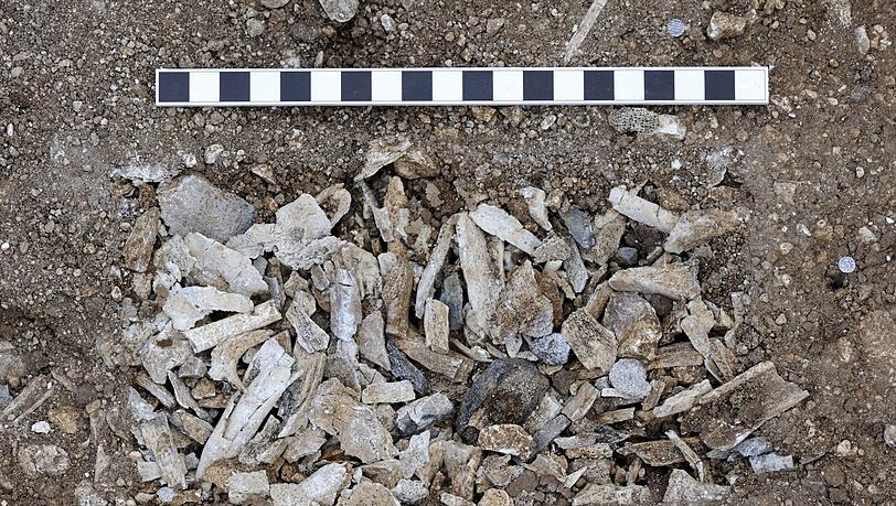 Aubrey Hole 7 wurde 1935 mit prähistorischen menschlichen Knochen verfüllt, die 2008 geborgen werden konnten. Aubrey Hole 7 wurde 1935 mit prähistorischen menschlichen Knochen verfüllt, die 2008 geborgen werden konnten.