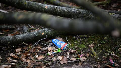Durch einen umgest&uuml;rzten Baum sind bei Flensburg drei Menschen ums Leben gekommen.
