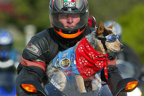 Biker-Freunde treffen sich in Kulmbach.