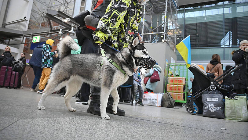 Eine junge Frau aus der Ukraine mit ihrem Hund am Münchner Hauptbahnhof. Eine junge Frau aus der Ukraine mit ihrem Hund am Münchner Hauptbahnhof.