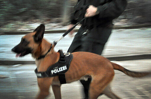 Ein Betrunkener der im Gleis der S4 nach Hause gehen wollte, ließ sich erst durch einen Polizeihund von seinem Vorhaben abbringen. (symbolbild)