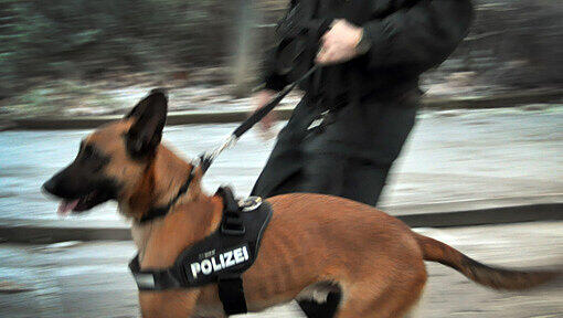 Ein Betrunkener der im Gleis der S4 nach Hause gehen wollte, ließ sich erst durch einen Polizeihund von seinem Vorhaben abbringen. (symbolbild) Ein Betrunkener der im Gleis der S4 nach Hause gehen wollte, ließ sich erst durch einen Polizeihund von seinem Vorhaben abbringen. (symbolbild)