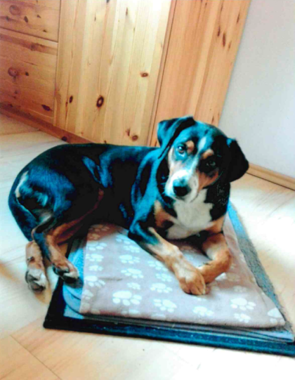 Ronja