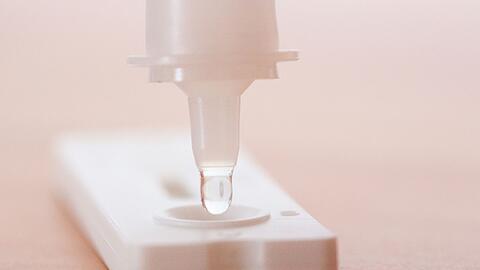 Flüssigkeit wird auf einen Antigen-Schnelltest gegeben.