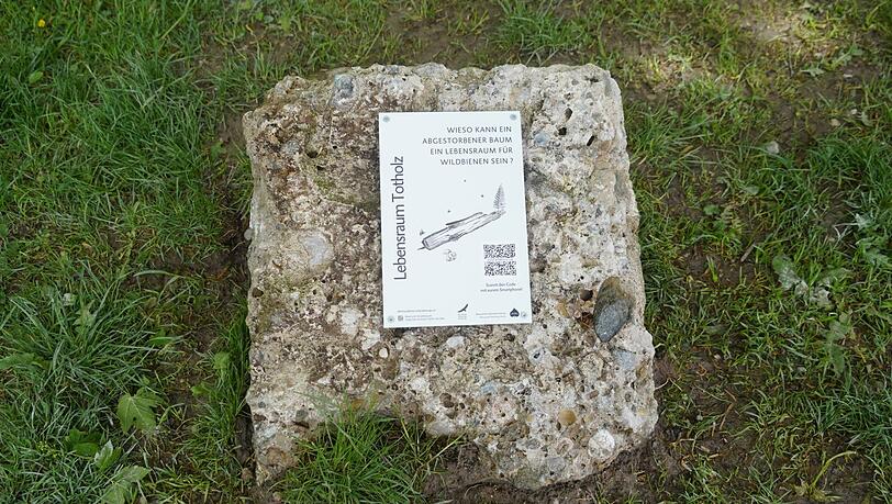 Eine von acht Stationen des Lehrpfads.