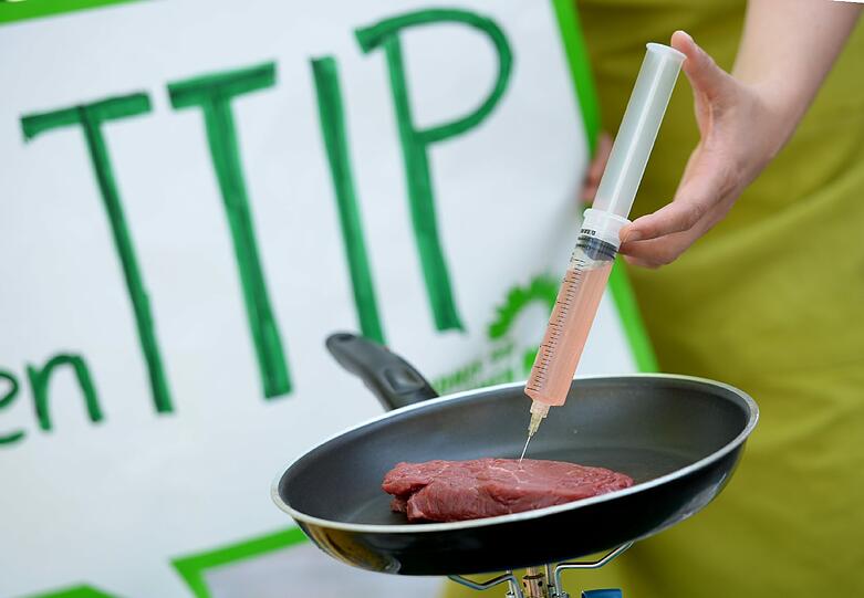 Auch in der Hansestadt Hamburg zeigten sich die Demonstranten abgeneigt von TTIP.