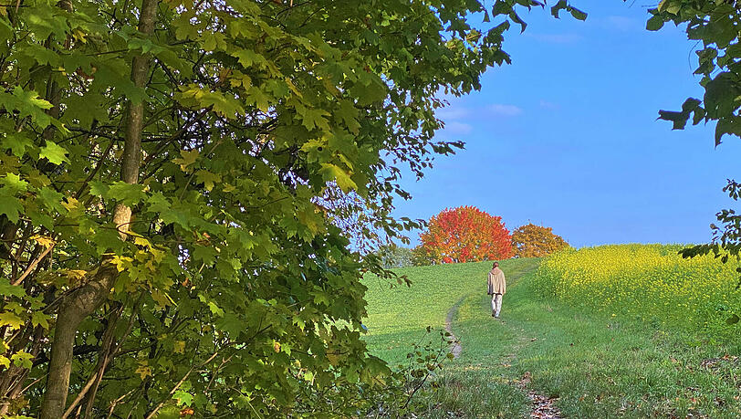 Auch in der Hallertau gibt es viele schöne Touren zum Wandern.