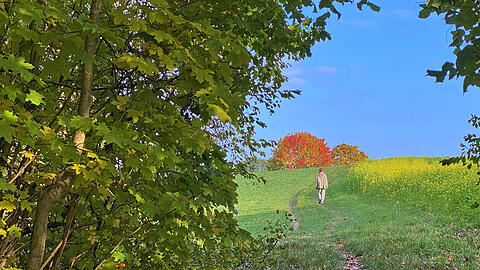 Auch in der Hallertau gibt es viele schöne Touren zum Wandern.