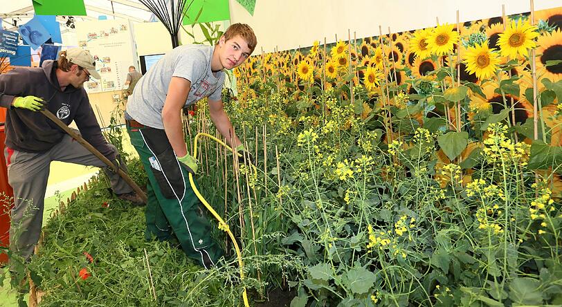 Sonnige Momente: Auch die bayerische Flora kommt bei den vielen Sonderausstellungen nicht zu kurz.