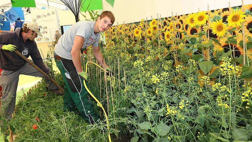 Sonnige Momente: Auch die bayerische Flora kommt bei den vielen Sonderausstellungen nicht zu kurz. Sonnige Momente: Auch die bayerische Flora kommt bei den vielen Sonderausstellungen nicht zu kurz.