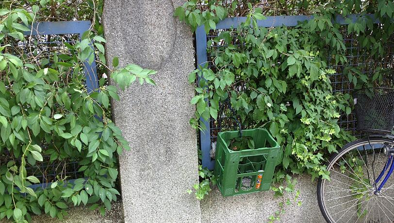 Eine Getränkedose steht schon drin. Die Idee scheint sich also in der Praxis zu bewähren. Eine Getränkedose steht schon drin. Die Idee scheint sich also in der Praxis zu bewähren.