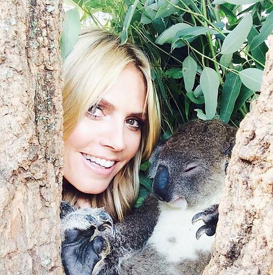 Die schönsten Bilder von Heidi Klum