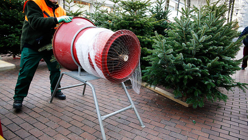 Stets am Samstag vor dem 1. Advent beginnt der offizielle Christbaumverkauf in München.