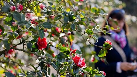 Am Dienstag sind vereinzelte Schauer und Gewitter "ganz zur Freude der langsam aufbl&uuml;henden Natur" m&ouml;glich, so Meteorologe Bauer.