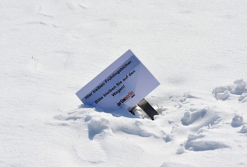 Ob hier tatsächlich Frühlingsblüher treiben?