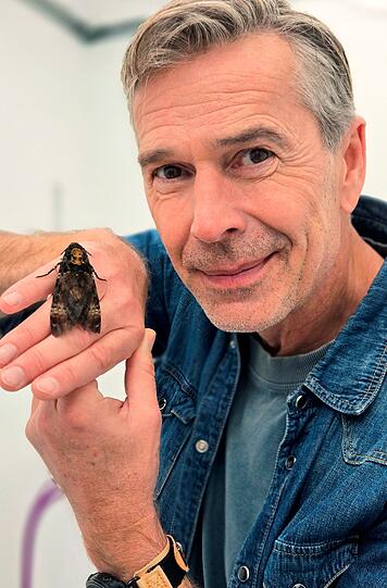 Dirk Steffens pr&auml;sentiert einen Totenkopfschw&auml;rmer: Es wird vermutet, dass der Schmetterling von Deutschland bis nach Afrika fliegen k&ouml;nnte.