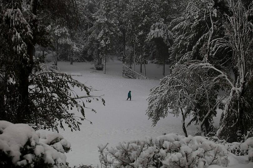 Schneesturm in Israel - Die Bilder