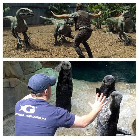 #JurassicZoo: Wenn Jurassic World Wirklichkeit wird