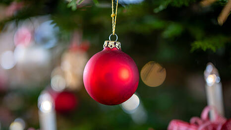 Auf der Suche nach einem Christbaum? AZ-Abonnentinnen und Abonnenten sparen 33 Prozent.