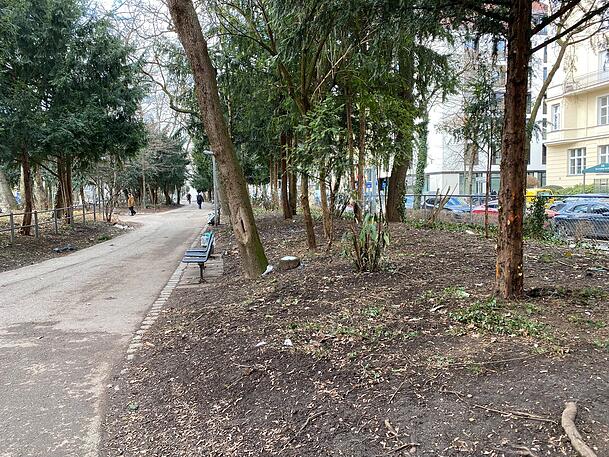 Im Nußbaumpark beim Sendlinger Tor bleiben nach umfassenden Maßnahmen der Stadt fast nur noch Bäume übrig. Im Nußbaumpark beim Sendlinger Tor bleiben nach umfassenden Maßnahmen der Stadt fast nur noch Bäume übrig.