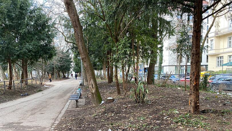 Im Nußbaumpark beim Sendlinger Tor bleiben nach umfassenden Maßnahmen der Stadt fast nur noch Bäume übrig.