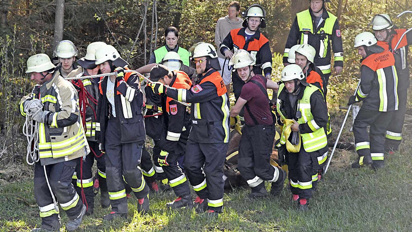 Rund 20 Mann zogen Stute Carina vom See aus dem Wald heraus auf eine Wiese.