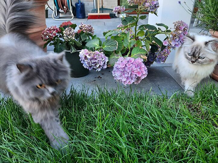 Minnie und Fredi