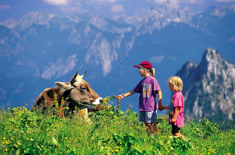 Alpenluft schnuppern, Gras rupfen, Kühe füttern &ndash; dafür müssen Münchner wirklich nicht weit fahren, die Berge stehen ja quasi vor der Haustür.