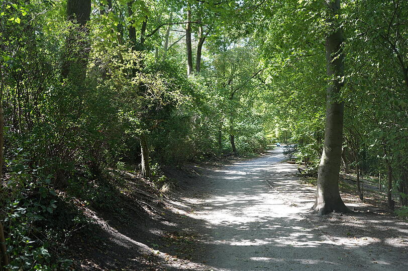 Herrlich im Schatten flanieren kann man im Park, in dem sich zum Glück viel uralter Baumbestand erhalten hat. Herrlich im Schatten flanieren kann man im Park, in dem sich zum Glück viel uralter Baumbestand erhalten hat.