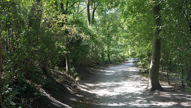 Herrlich im Schatten flanieren kann man im Park, in dem sich zum Glück viel uralter Baumbestand erhalten hat. Herrlich im Schatten flanieren kann man im Park, in dem sich zum Glück viel uralter Baumbestand erhalten hat.