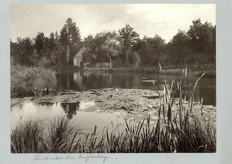 Blick über den Teich auf das Süd bzw. Südostufer mit dem Pumpenhaus.