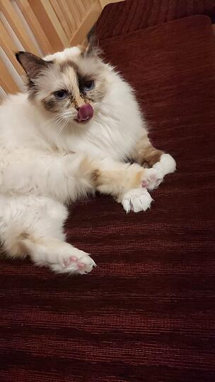 Mia