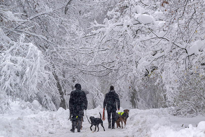 Passanten gehen mit Hunden durch die verschneiten Maximiliansanlagen.