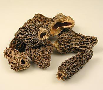 ...der Pilz ist in einer Packung mit getrockneten Spitzmorcheln entdeckt worden.