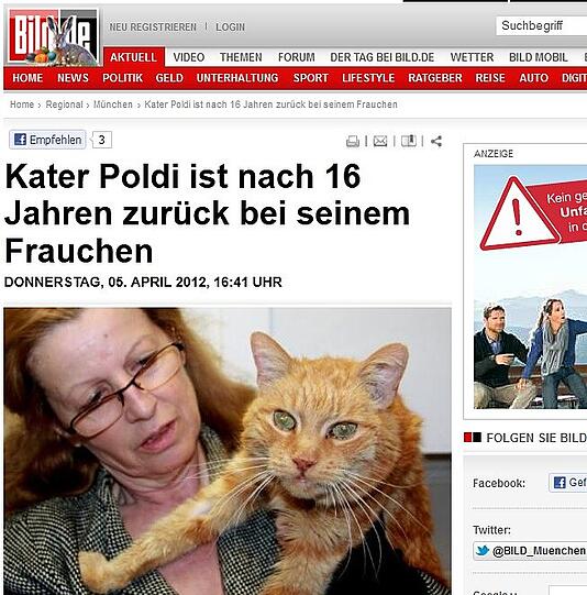 Dann ziehen andere Blätter nach, zum Beispiel die "Bild"...