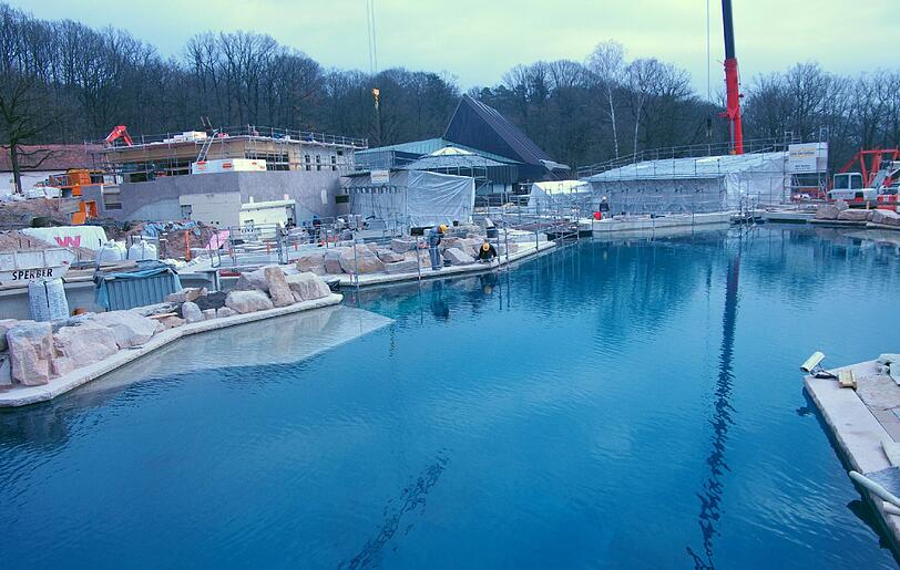 Die Delfin-Lagune im Tiergarten ist erstmals mit Wasser gefüllt.