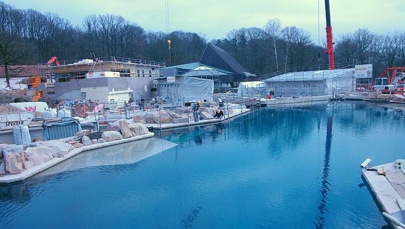 Die Delfin-Lagune im Tiergarten ist erstmals mit Wasser gefüllt. Die Delfin-Lagune im Tiergarten ist erstmals mit Wasser gefüllt.