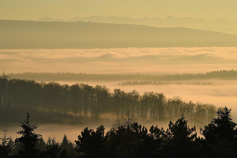 Die aktuelle Inversionswetterlage sorgt für tolle Naturschauspiele.