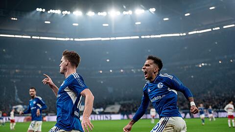 Die Schalker gewannen das wichtige Spiel gegen den VfB Stuttgart.
