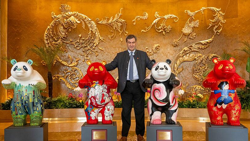 Erf&uuml;llt sich S&ouml;der mit zwei Riesenpandas f&uuml;r den M&uuml;nchner Tierpark einen Traum? (Archivbild)