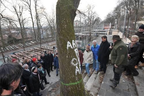Emotionaler Ortstermin mit Umwelt-Referentin Marlene Wüstner (re.) im Kellerwald.