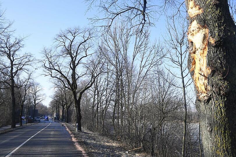 Ölmassen auf der Münchner Straße - die Bilder vom Unfallort zwischen Unterföhring und Ismaning.