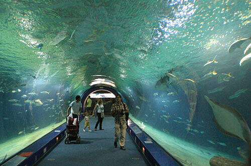 Meeresaquarium L' Oceanografic, Foto: PR