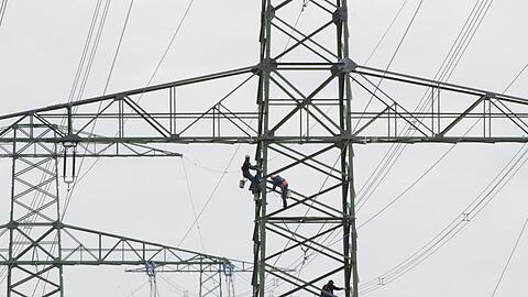 Arbeiter stehen auf einem Strommast. Foto: Sebastian Kahnert/Archiv