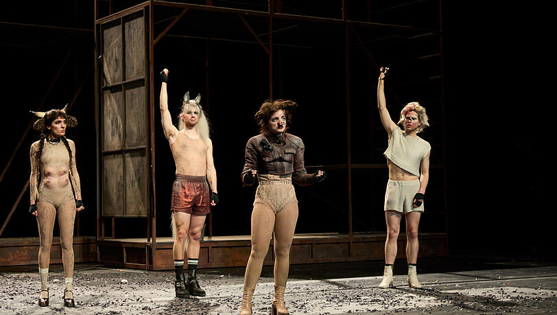 Kuh Marie (Maral Keshavarz, links), Pferd Boxer (Jan Meeno Jürgens), Schwein Napoleon (Anne Stein) und Schaf Dolly (Silas Breiding) haben den Bauern verjagt.
