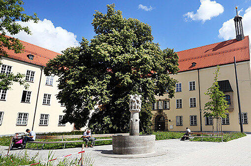 Die Linde stand schon vor dem Rathaus hier &ndash; sie ist über 100 Jahre alt.