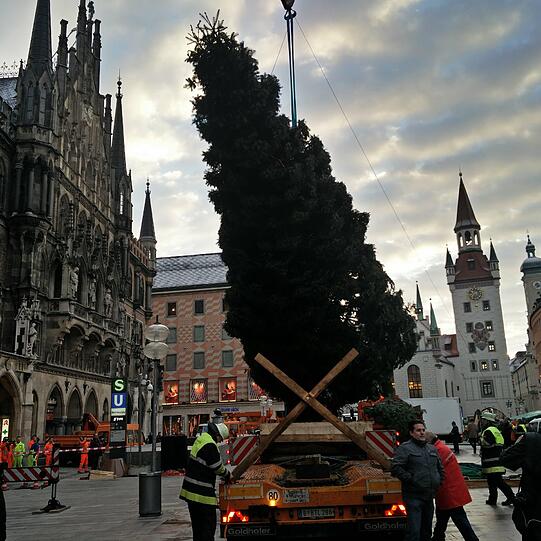 ...Am Haken der Feuerwehr...
