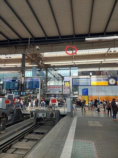 Gefangen im Abwehrnetz der Bahn: Im roten Kreis hängt eine der Tauben, die dort verendete. Gefangen im Abwehrnetz der Bahn: Im roten Kreis hängt eine der Tauben, die dort verendete.