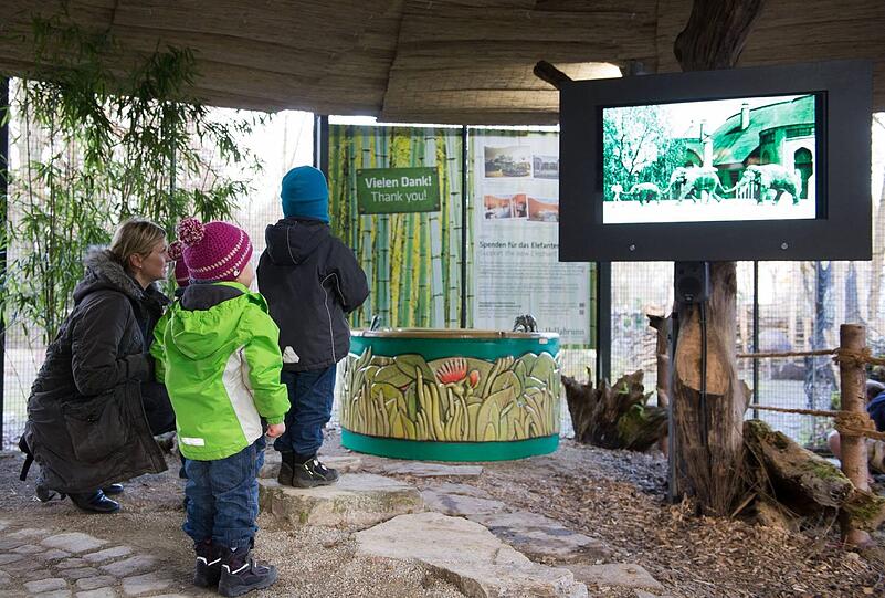 Im Info-Pavillon über das Elefantenhaus können sich Groß und Klein schlau machen.