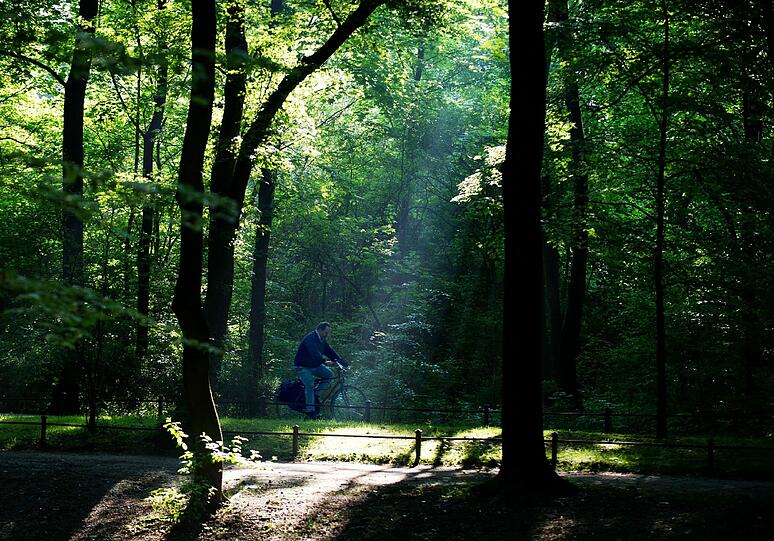 Erholung in einer der grünen Oasen der Stadt: Ein Fahrradfahrer fährt durch den Englischen Garten.